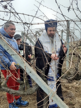 Традиционно: Митрополит Серафим заряза лозята в Ласкарево на ексдепутата от Благоевград Н. Бошкилов