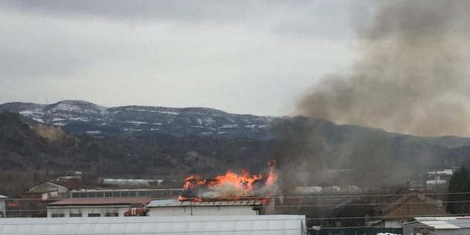 Голям пожар бошува в Кресна