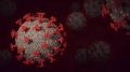 Ново 20: Два пъти по-заразен подвариант на Омикрон засяга напълно ваксинираните