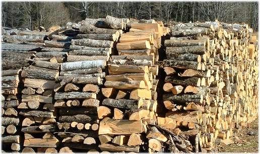 Започва подаването на заявления за дърва за огрев в с. Бачево