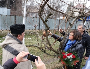 Нинова заряза лозята