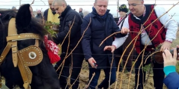 Кмет и ОбС председател зарязаха лозята в село Дъбрава