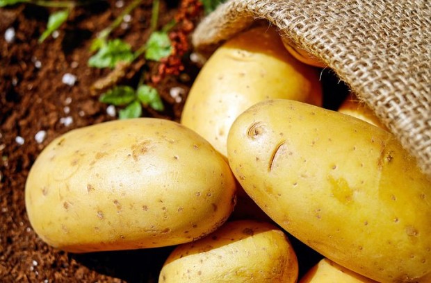 Оставаме без български картофи, ако няма субсидиране