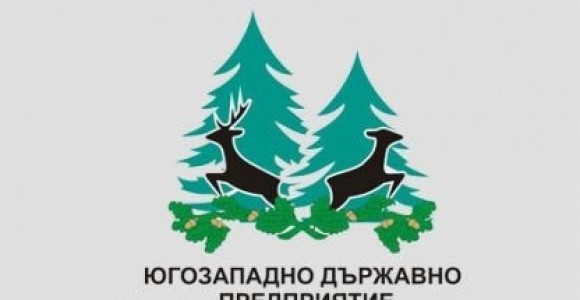 ЮЗДП в готовност да помогне на бежанци от Украйна с дърва за огрев