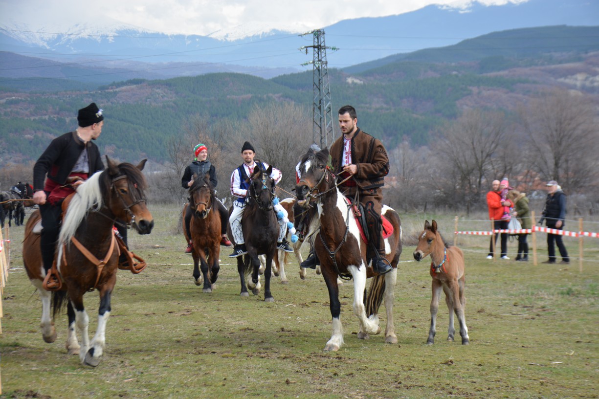 Тодоровден е! Мъжете яхват най-красивите и бързи коне в луда надпревара в Банско, Бачево и Крупник