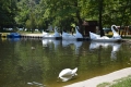Обновени водни колела ще радват жители и гости в езерото на парк Бачиново в Благоевград