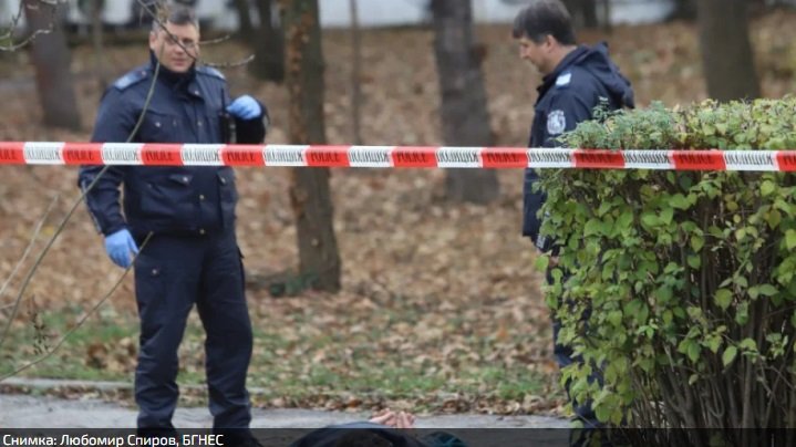 27-годишна жена убита в Старосел 27-годишна жена убита в Старосел