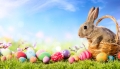 Великденски заек с мустак  отново помага на семейства в нужда в Гоцеделчевско