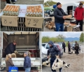 Десет лева за килограм е цената на агнешкото на животинския пазар в Благоевград