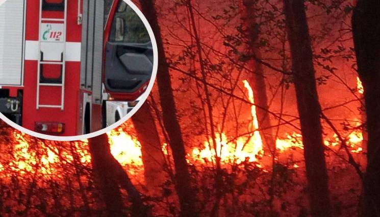 ОГНЕН АД: Огромен пожар изпепели 150 дка в Пиринско, служители от 8 ДГС-та се борят с него