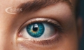 Хората с кафяви очи са суетни, със зелени - страстни