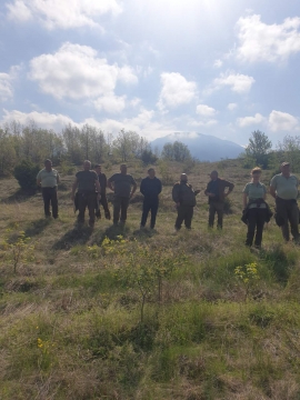 Горски и доброволци засадиха 3 000 фиданки брежански кестен в планината над село Брежани