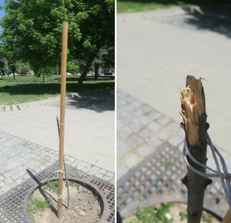 Благоевград осъмна с прекършени дръвчета по главната пешеходна улица