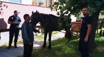 Водач на каруца отнесе глоба, докато товари строителни отпадъци в центъра на Благоевград