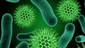Норовирус е причина за инцидента с 14-те деца в детската градина в Ресилово