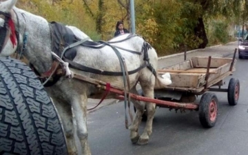 Нелепо: 10-годишно дете падна от каруца в Санданско