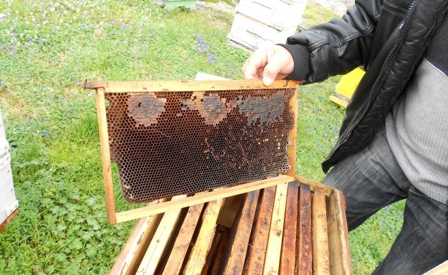 Пчелари протестираха пред парламента срещу изнасянето на кошери