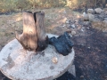Незагасено барбекю подпали борова гора в района на Невестино