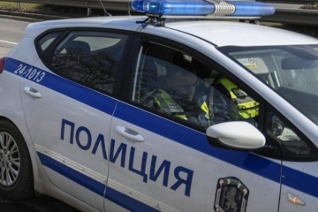 Разследват смъртта на две прасета и куче в Петрич