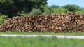 Недостиг на дърва за огрев: Цените скачат, чака се със седмици