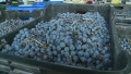 Пазарът на грозде в Благоевград стартира с 20-30 ст. по-високи цени от миналогодишните