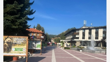 Белица празнува!