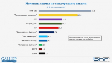 Галъп : ГЕРБ-СДС 25,9, ПП 19,2, осем партии в парламента