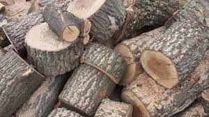Четирима работници от ОП  Озеленяване  в Благоевград уволнени заради незаконен дърводобив