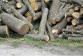 Внимание! Нова измама: Мними горски събират пари от хората за дърва за огрев