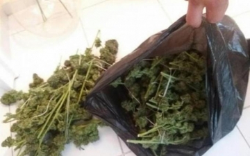 Разследват горски стражар с марихуана