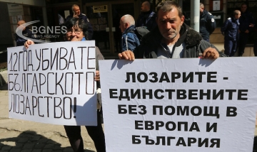 Лозарите излизат на протест в София