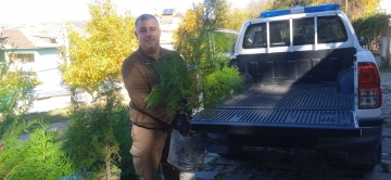 Югозападното държавно предприятие дари десет дръвчета по повод 115-ата годишнина на Инспекцията по труда