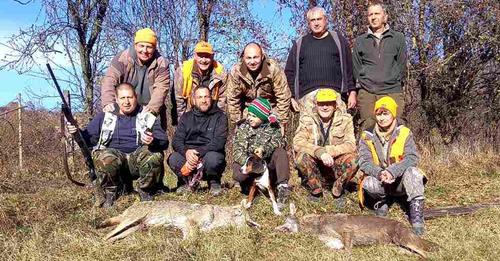 Вълци преследват гонче, ловец убива 2 от тях край Брежани