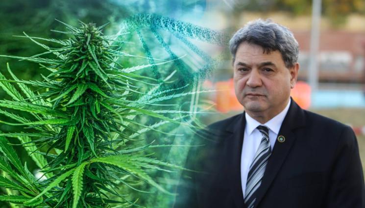 МВР В ДЕЙСТВИЕ: 252 задържани при акция  Бяло