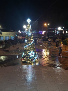 Красива коледна елха радва жителите на село Крупник