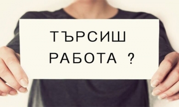 Фирма от Кресна набира селскостопански работници за бране на боровинки в Южна Испания през следващата календарна година