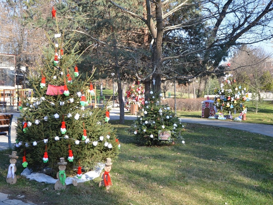 Наградиха най-красивите коледни дръвчета в община Гоце Делчев