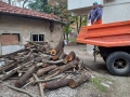 Община Благоевград продължава да предоставя дървесина за огрев на хора в нужда