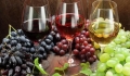 Кулинарно шоу и празнична програма съпътстват тазгодишния Празник на младото червено вино в Сандански
