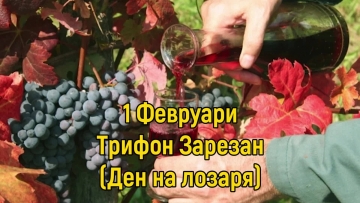 Православната църква чества Трифоновден