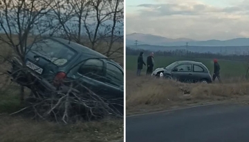 Кола  кацна  на дърво след катастрофа