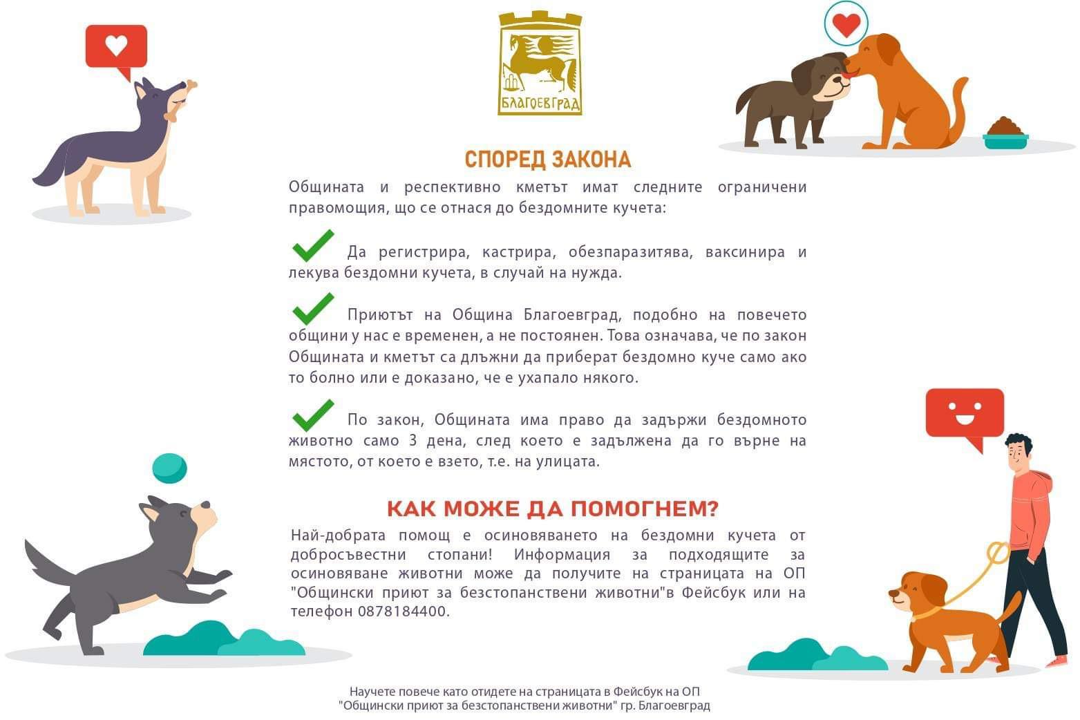 Позиция на кмета Илко Стоянов по повод зачестилите твърдения относно бездомните кучета