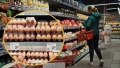 ПАРАЛИИ: В София купуват два пъти повече яйца от Благоевград