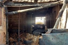 16 бременни крави загинаха при пожар от незагасена цигара във ферма в дупнишкото село Крайници