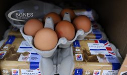 Съюзът на птицевъдите в България издирват 2,5 милиона яйца от Украйна