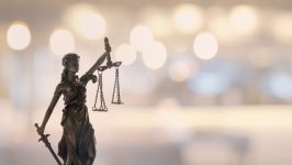Съдът върна на работа уволнен дисциплинарно горски заради частна градина в парк  Пирин , канабисова нива и незаконно отсечени дървета
