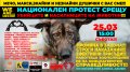Национален протест срещу убийците и насилниците на животни ще се проведе в Благоевград и други 13 града на страната