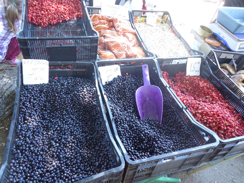 Боровинките и горските ягоди са хит на пазара в Благоевград (снимки)