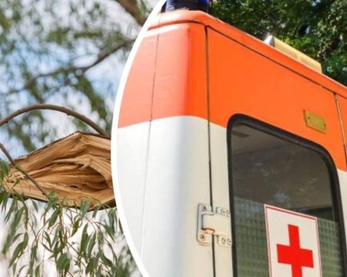 УЖАС! Дърво се стовари върху мъж на тротоар
