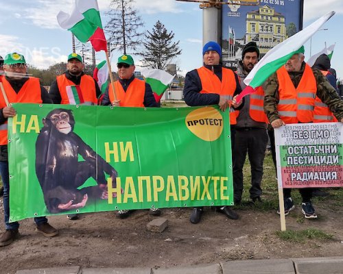 Нови протести на зърнопроизводителите срещу вноса на украинско зърно у нас